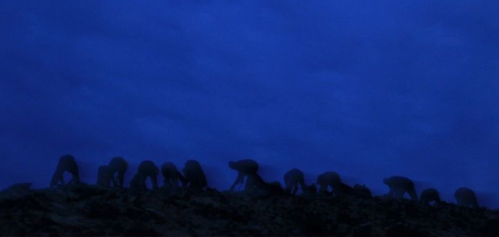 구아노를 둘러싼 페루 새똥전쟁 | 인스티즈