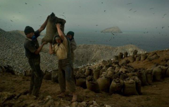 구아노를 둘러싼 페루 새똥전쟁 | 인스티즈