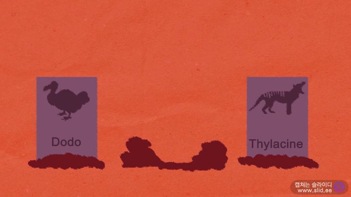 슬슬 걱정되기 시작하는 이 놈에 대해 자세히 알아보자.jpg | 인스티즈