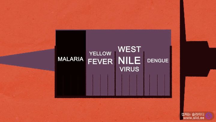 슬슬 걱정되기 시작하는 이 놈에 대해 자세히 알아보자.jpg | 인스티즈