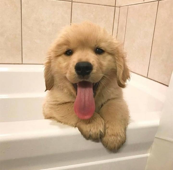 아기인절미 | 인스티즈