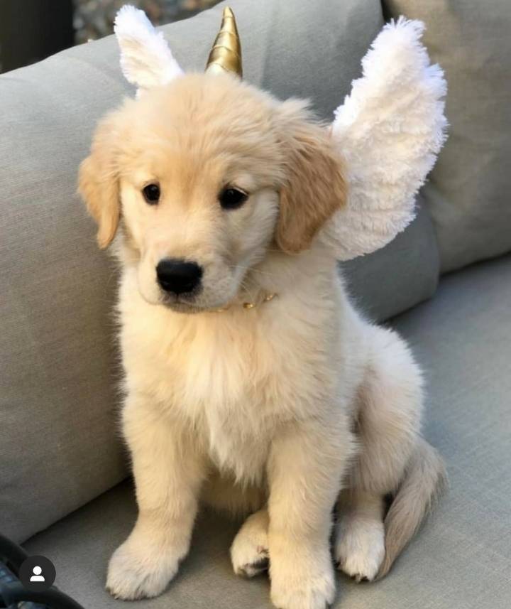 아기인절미 | 인스티즈