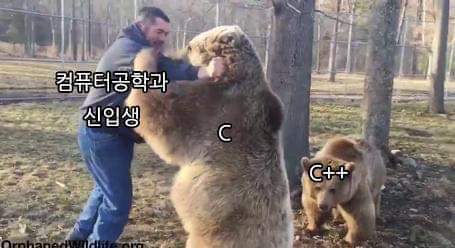 공대 신입생 공감 | 인스티즈