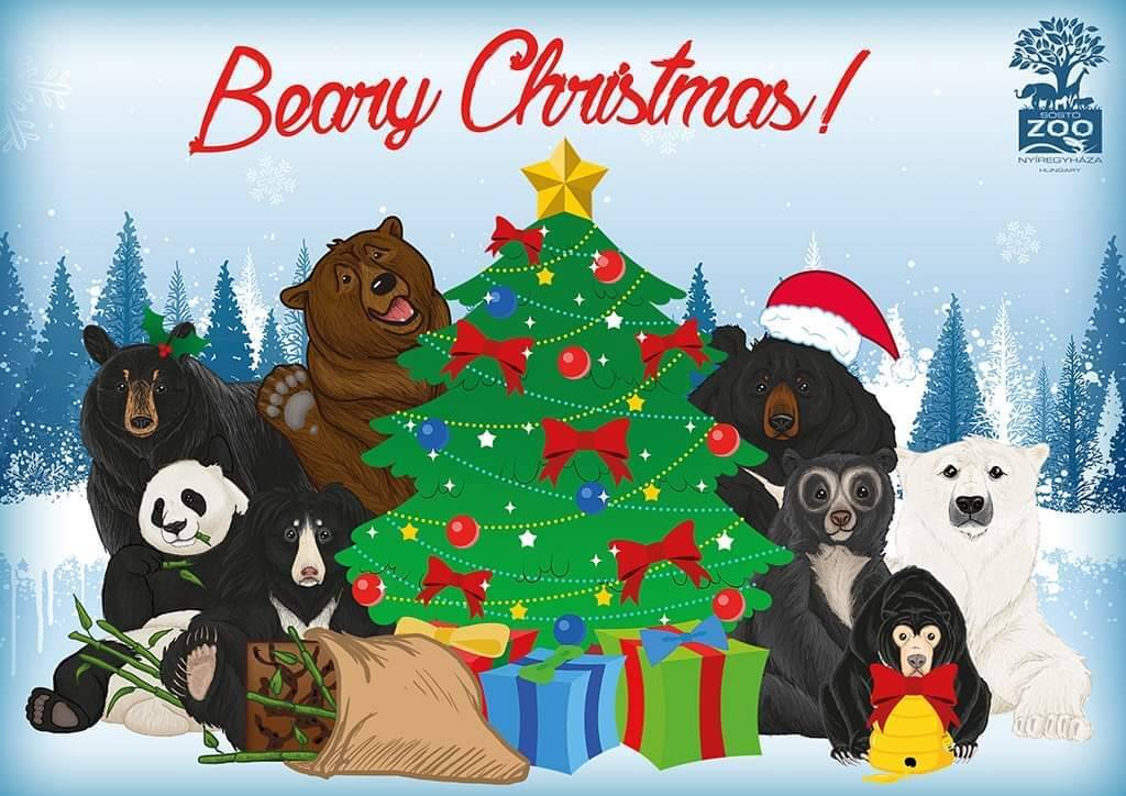 거울 보는 곰돌이들 | 인스티즈