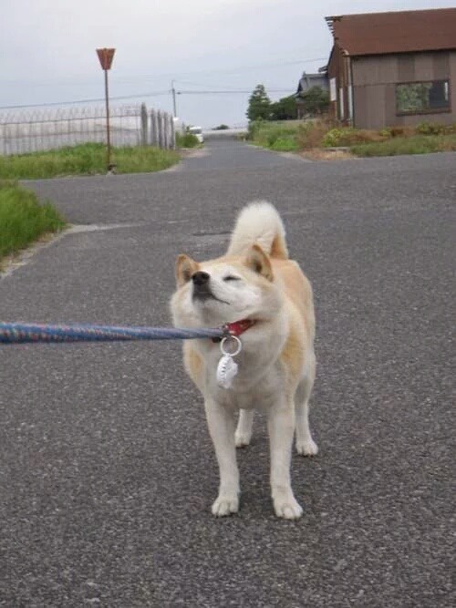 월요일 아침 직장인의 모습 | 인스티즈