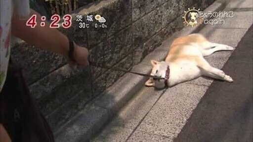 월요일 아침 직장인의 모습 | 인스티즈