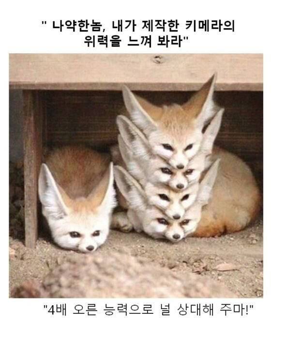 귀여운 동물짤 제목학원.jpg | 인스티즈