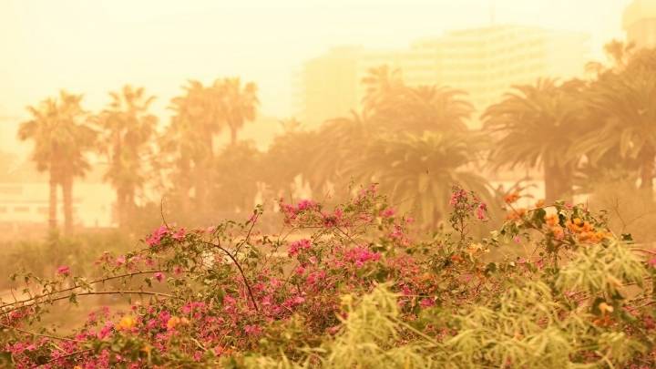 어마어마한 사하라 사막 모래폭풍 ㄷㄷ.jpg | 인스티즈