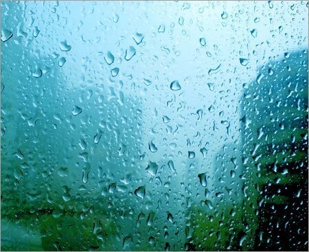 비오는날을 좋아하는 사람들의 속마음.JPG | 인스티즈