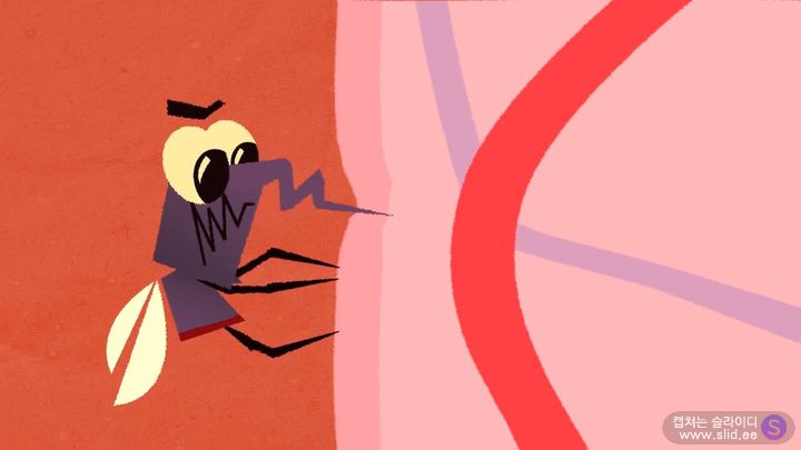 슬슬 걱정되기 시작하는 이 놈에 대해 자세히 알아보자.jpg | 인스티즈