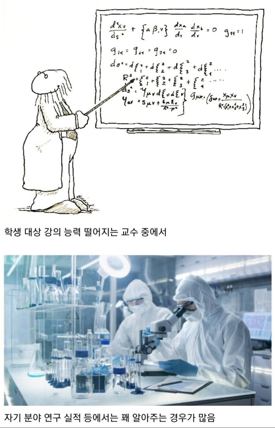 대학에서 종종 보이는 교수 스타일.jpg | 인스티즈