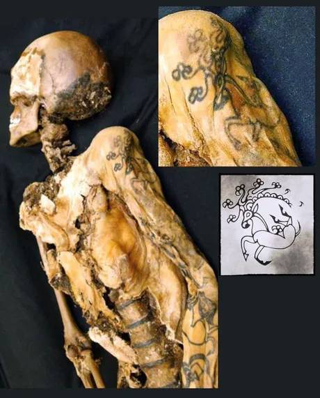 (혐오주의)2500년전 미라의 문신 | 인스티즈