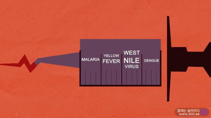슬슬 걱정되기 시작하는 이 놈에 대해 자세히 알아보자.jpg | 인스티즈