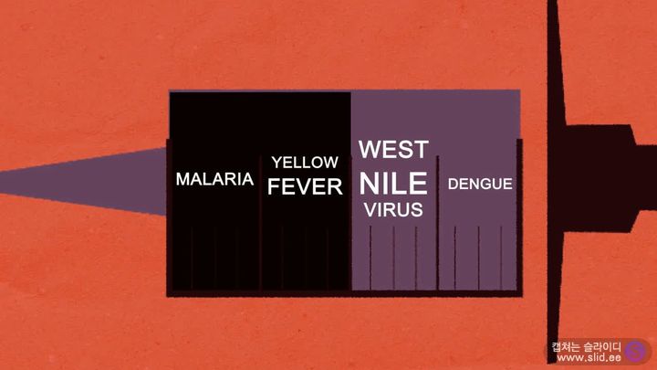슬슬 걱정되기 시작하는 이 놈에 대해 자세히 알아보자.jpg | 인스티즈
