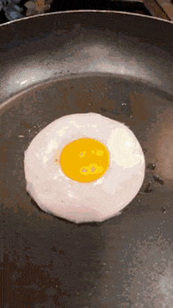 계란 뒤집기.gif | 인스티즈