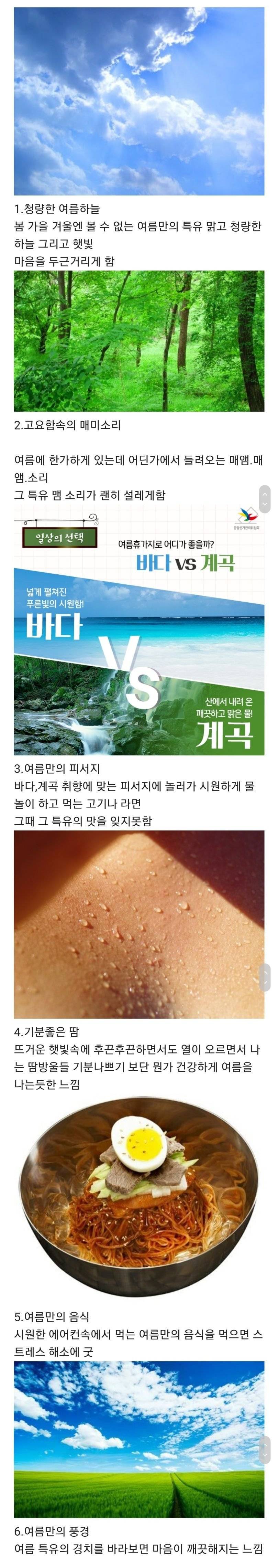 한국 사람들이 여름을 기다리고 좋아하는 이유.jpg | 인스티즈