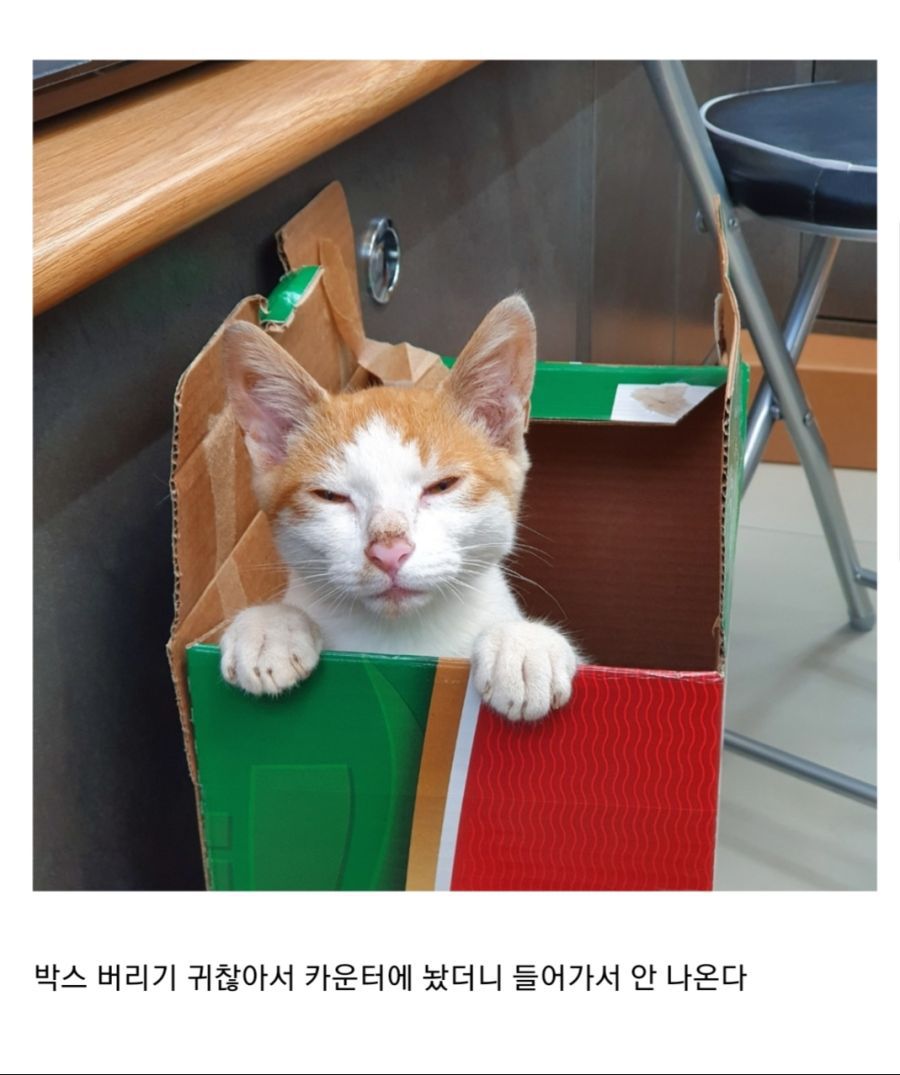 편의점에서 민폐덩어리 주운 점장.jpg | 인스티즈