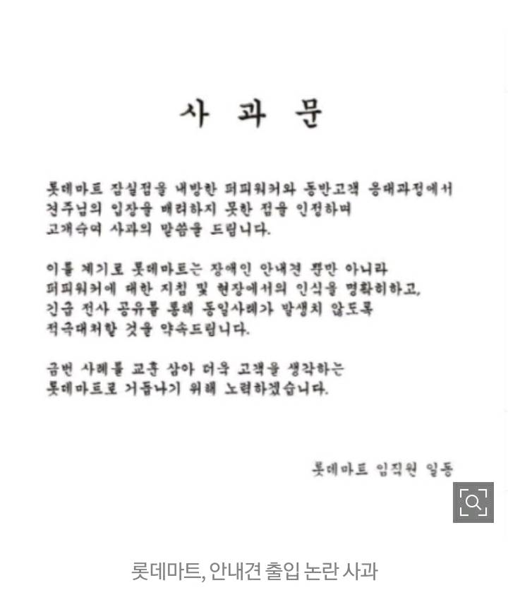 롯데마트, '안내견 출입 거부' 사과.."퍼피워커 지침 공유" (전문) | 인스티즈