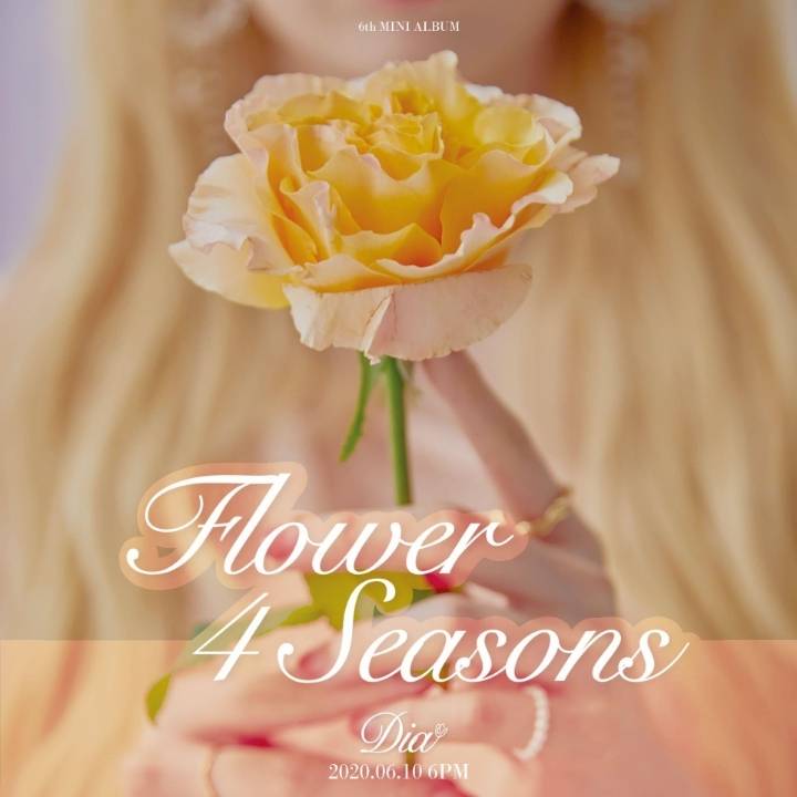다이아 6th 미니앨범 "Flower 4 season" 하이라이트 메들리 | 인스티즈