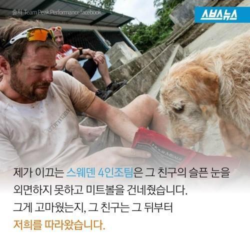 길에서 만난 친구 .jpg | 인스티즈