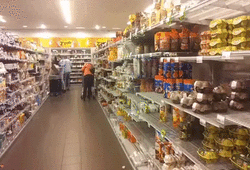 메추리알을 부화시켜보았다.gif | 인스티즈