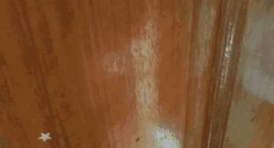 대한민국 드래곤볼 끝판왕이 여깄다. | 인스티즈