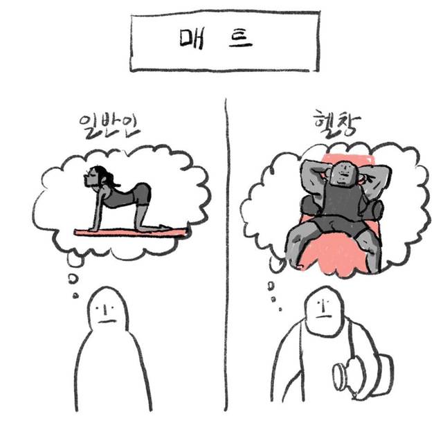 일반인과 헬창의 시각 차이 종합편.jpg | 인스티즈