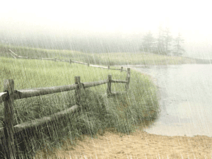 비 오는 날 제주도 가기 vs 제주도 가는 날 비 만나기 | 인스티즈