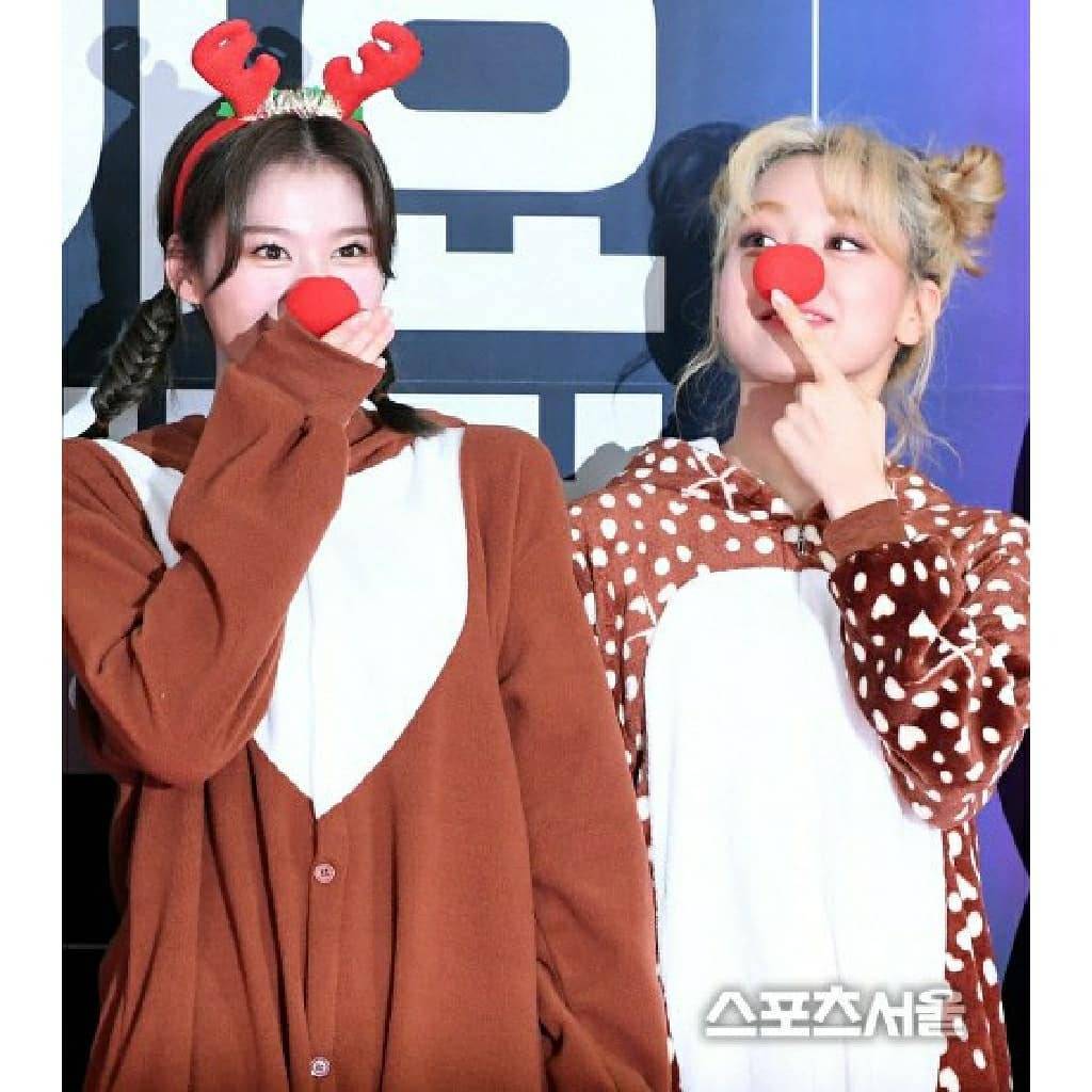 트와이스 지효 인스타그램 with 크리스마스 선물, 사나 | 인스티즈