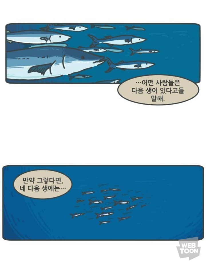 병원에서 죽음을 맞이한 고양이와 마지막을 지키지 못한 주인 | 인스티즈