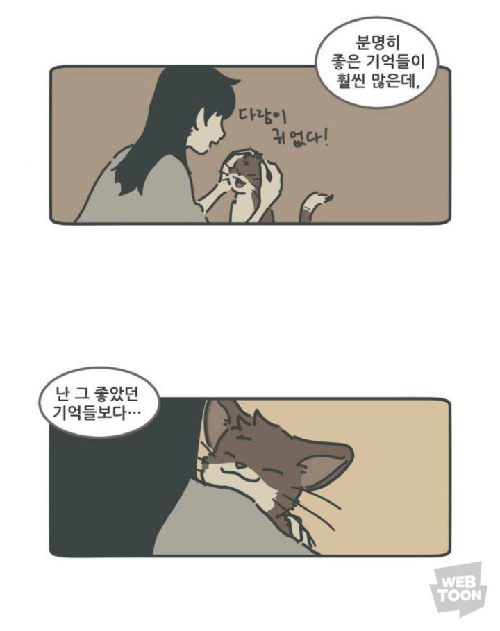 병원에서 죽음을 맞이한 고양이와 마지막을 지키지 못한 주인 | 인스티즈