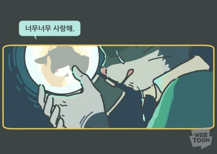 병원에서 죽음을 맞이한 고양이와 마지막을 지키지 못한 주인 | 인스티즈