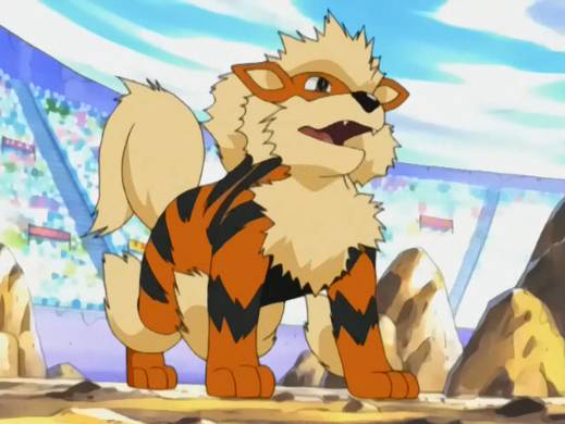 취급이 안좋은 포켓몬 시리즈 - 부스터 | 인스티즈