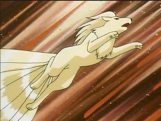 취급이 안좋은 포켓몬 시리즈 - 부스터 | 인스티즈