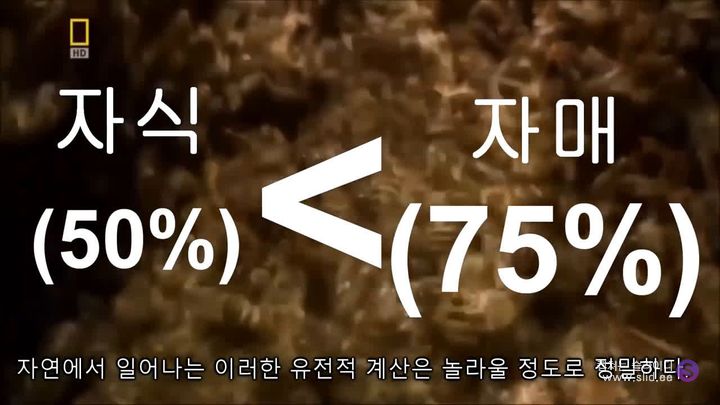 인류에게 게이가 꼭 필요할 수도 있는 이유.jpg | 인스티즈