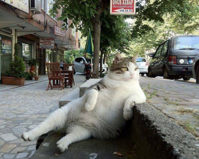 누가 잘못 했는지.. 의견이 나뉘는 글 | 인스티즈