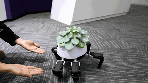 반려 식물 기계.gif | 인스티즈