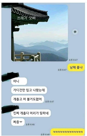 인스타의 폐해.jpg | 인스티즈