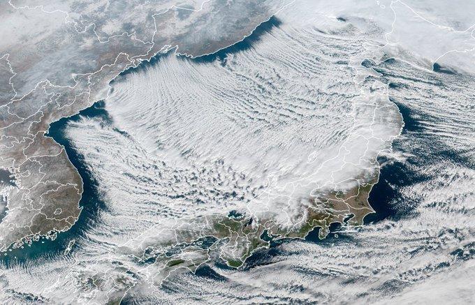 한국에서 세력을 키운 눈구름 근황 | 인스티즈