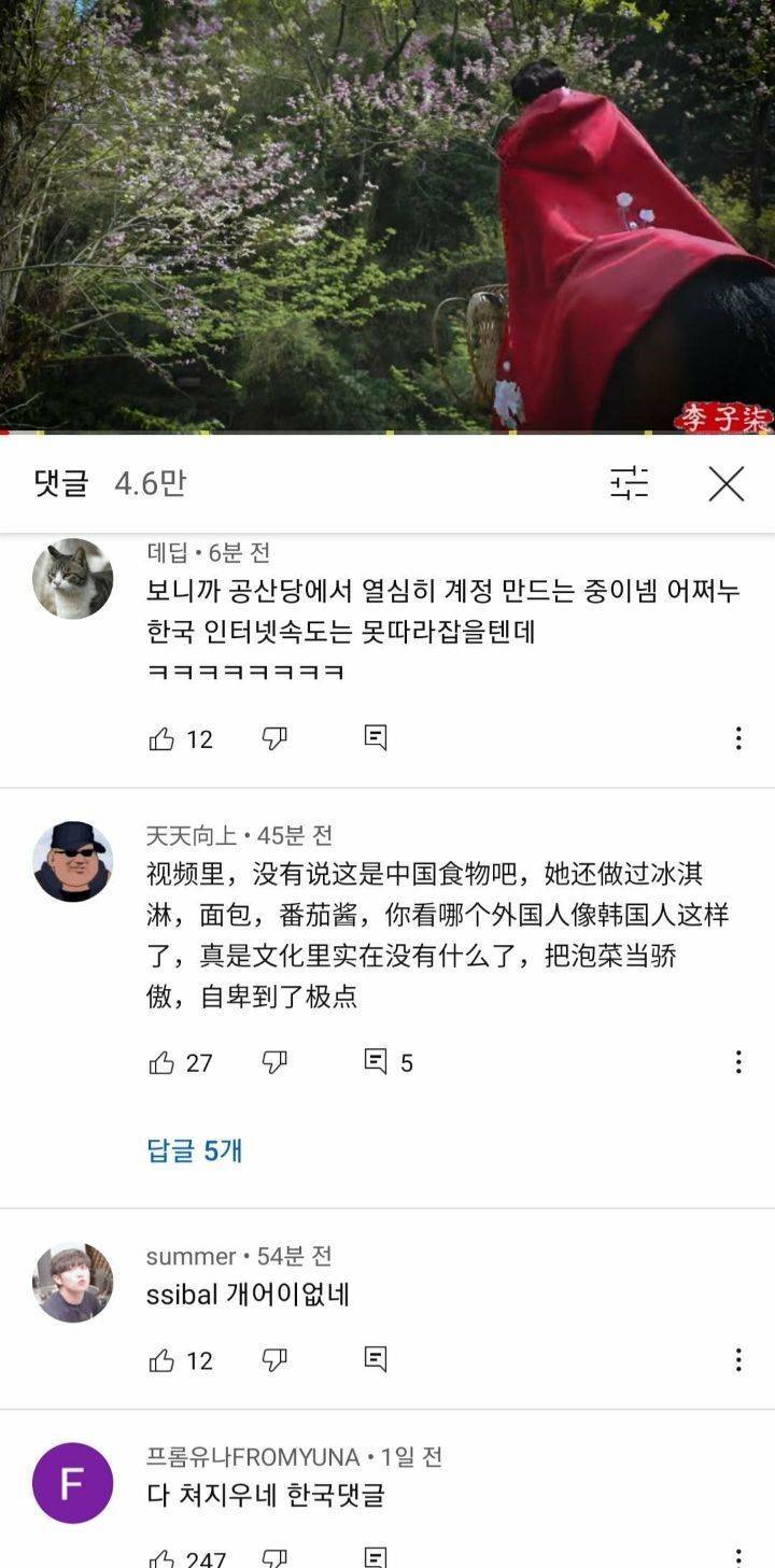 김치 담근 중국 전통문화 유튜브에서 삭제하는 중 | 인스티즈