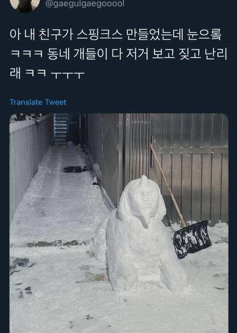 눈 오면 귀여워지는 한국인들 | 인스티즈