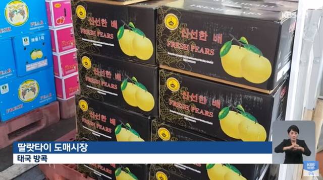 중국산 과일 "한국산 둔갑” 활개 | 인스티즈