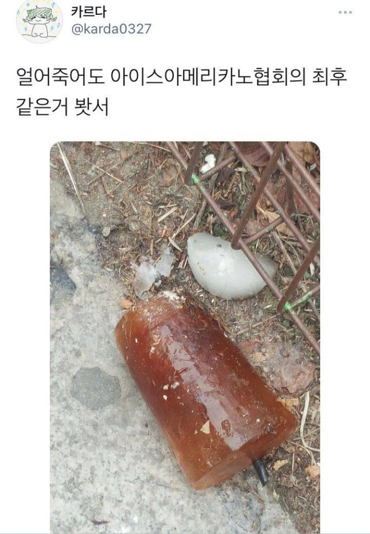 얼죽아의 패배 | 인스티즈