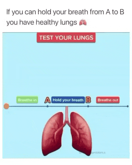 대부분 성공하는 폐건강 테스트 | 인스티즈
