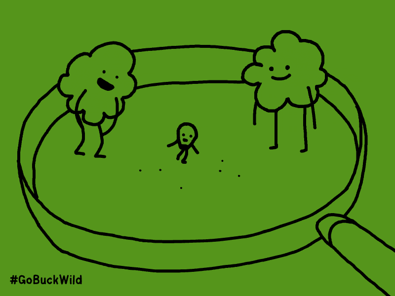 팝콘과 도리토스.gif | 인스티즈