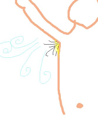 비위상함 주의) 은근히 중독되는 신체 냄새들 | 인스티즈