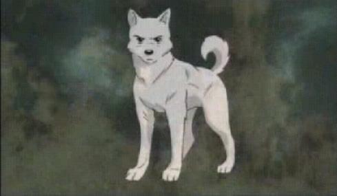 만취한 나도 집은 제대로 찾는 것처럼.jpg | 인스티즈