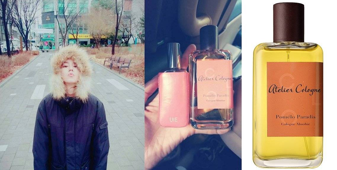 여자연예인들이 쓰는 향수 | 인스티즈