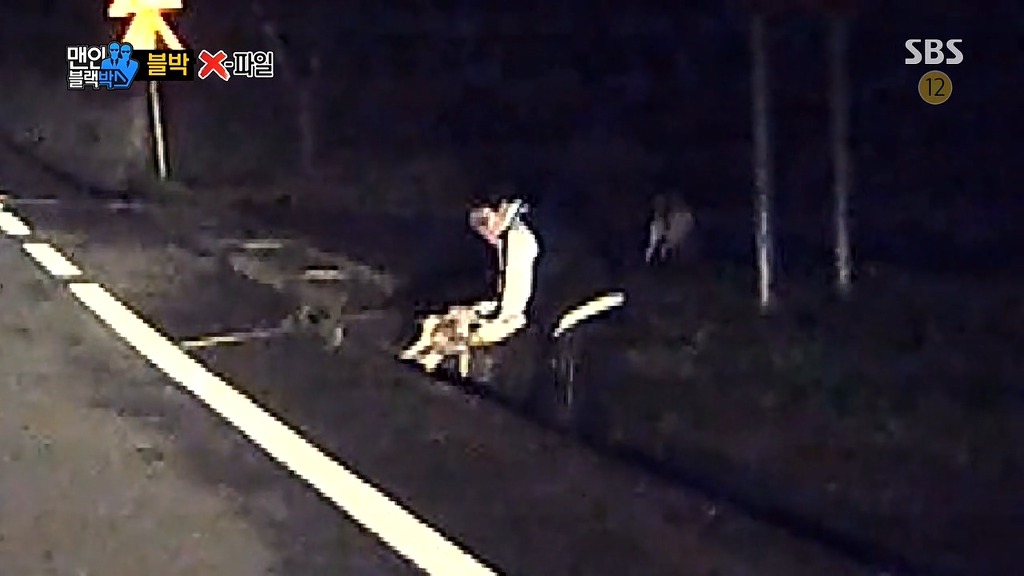 사람에게 도움을 청하는 강아지들 | 인스티즈