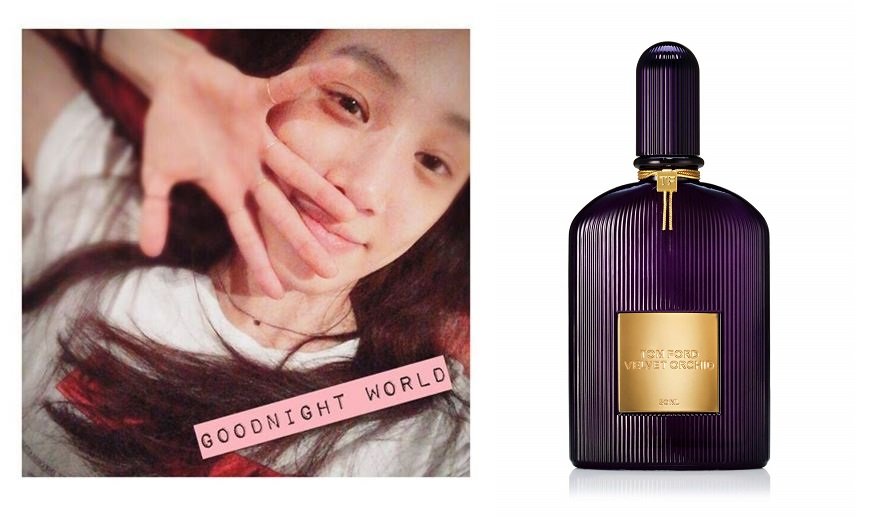 여자연예인들이 쓰는 향수 | 인스티즈